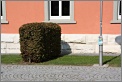 Click to enlarge am Gehweg